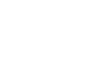 Tech Fest